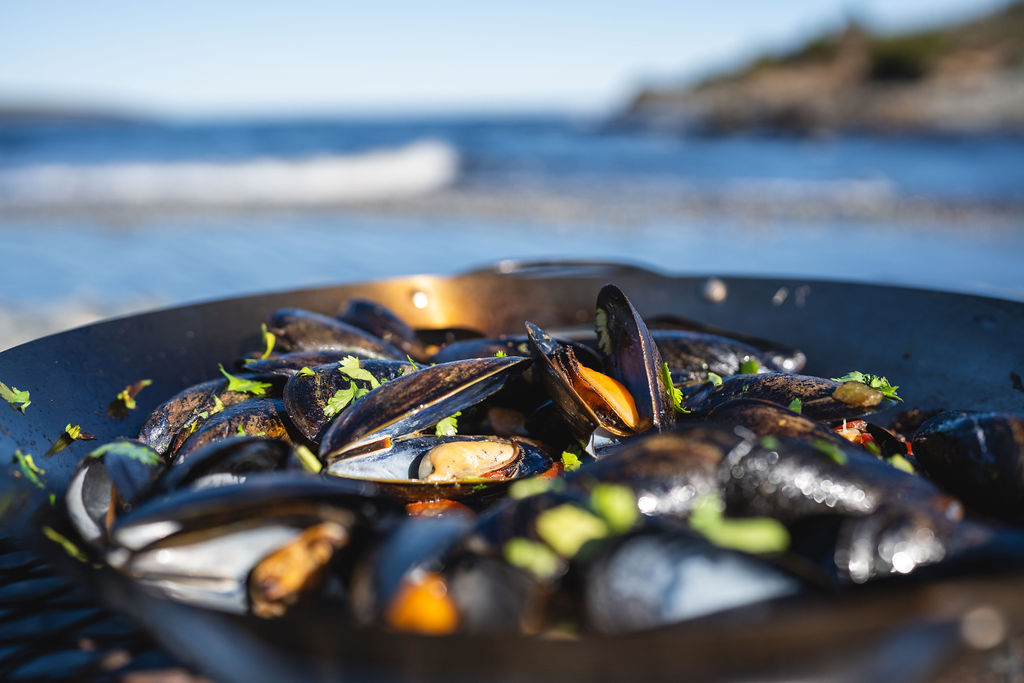 A wild-inspired feast cooked over open fire on the beach