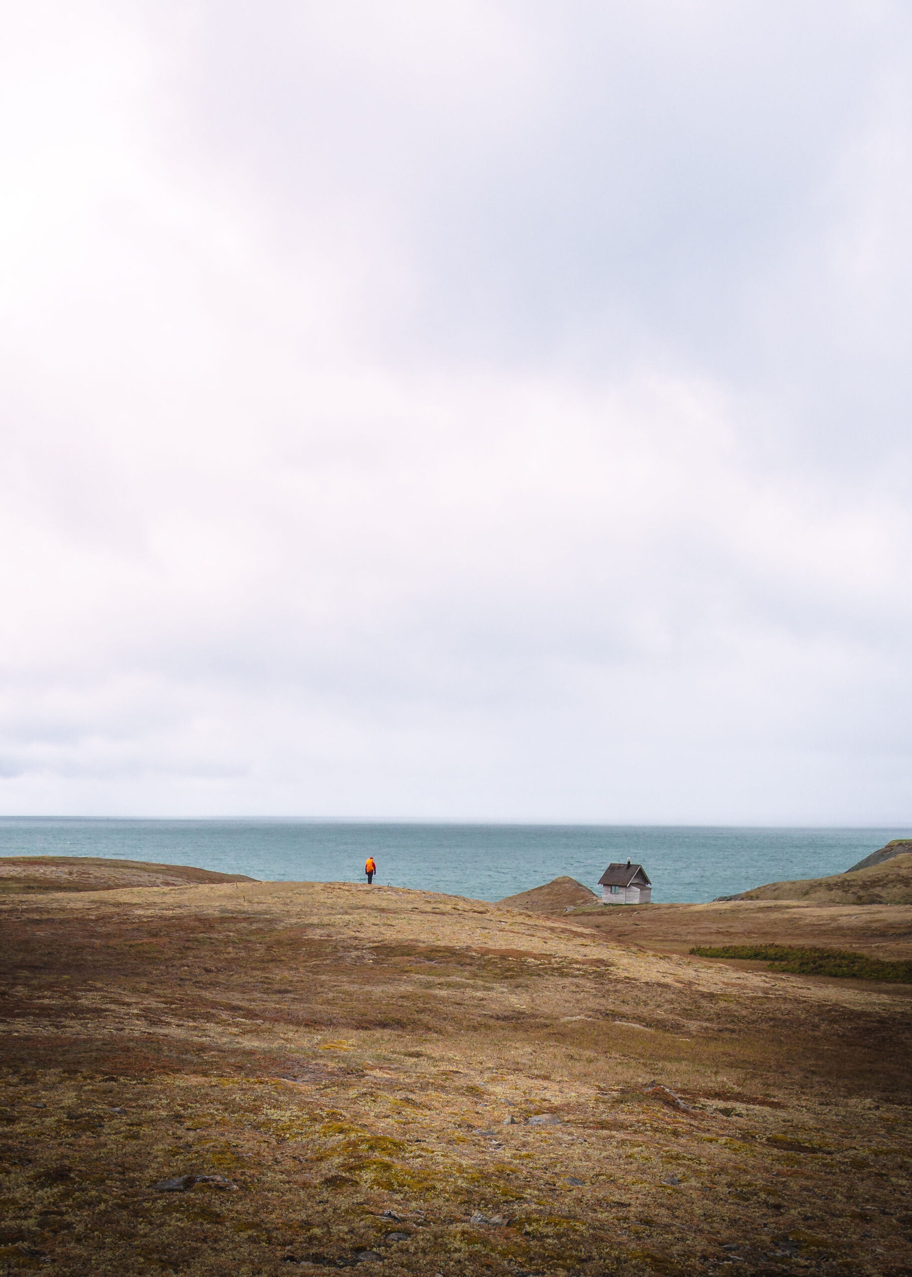 Guided fossil walk at Mistaken Point UNESCO World Heritage Site, Newfoundland