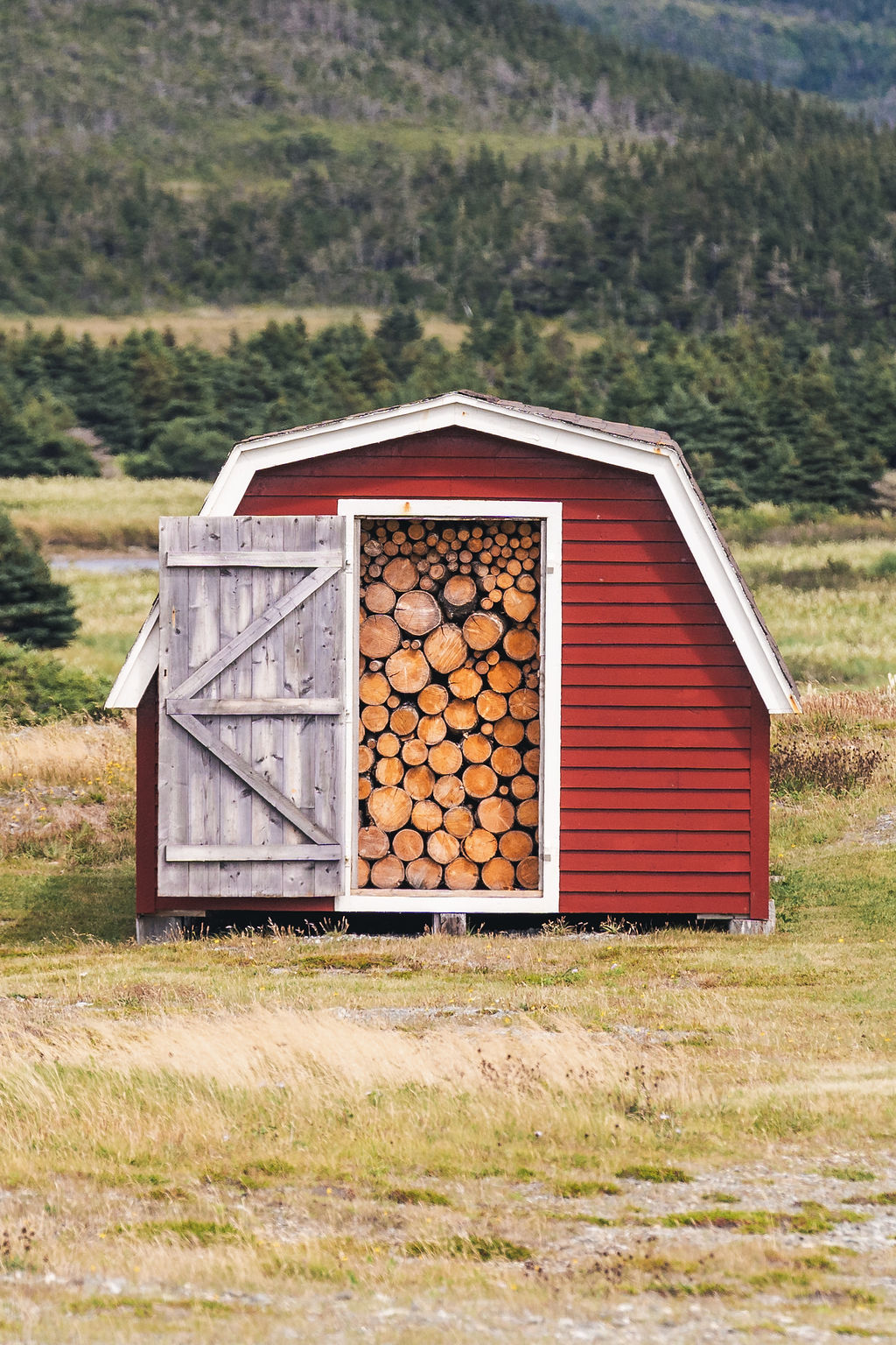 Firewood stacked tight in a wooden shed in an Irish Loop outport community