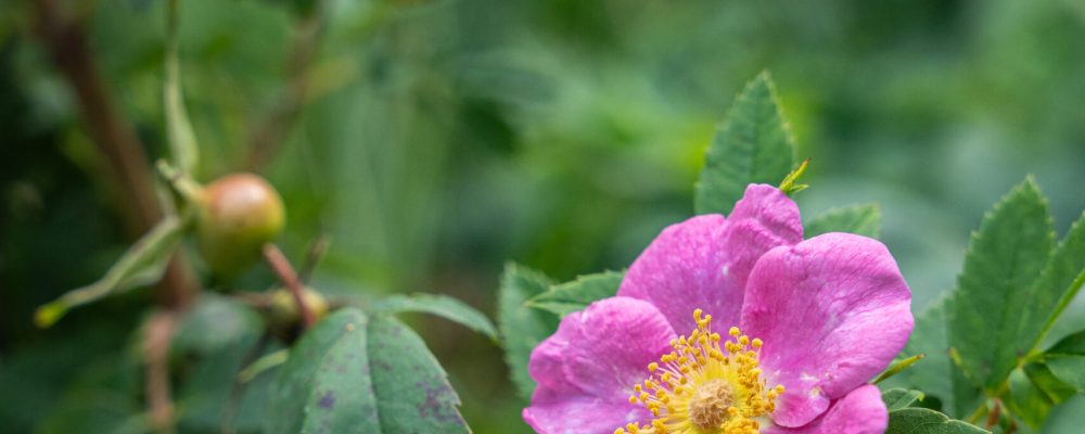 ManuelsRiver_DMCProjectPhoto_168 (1)